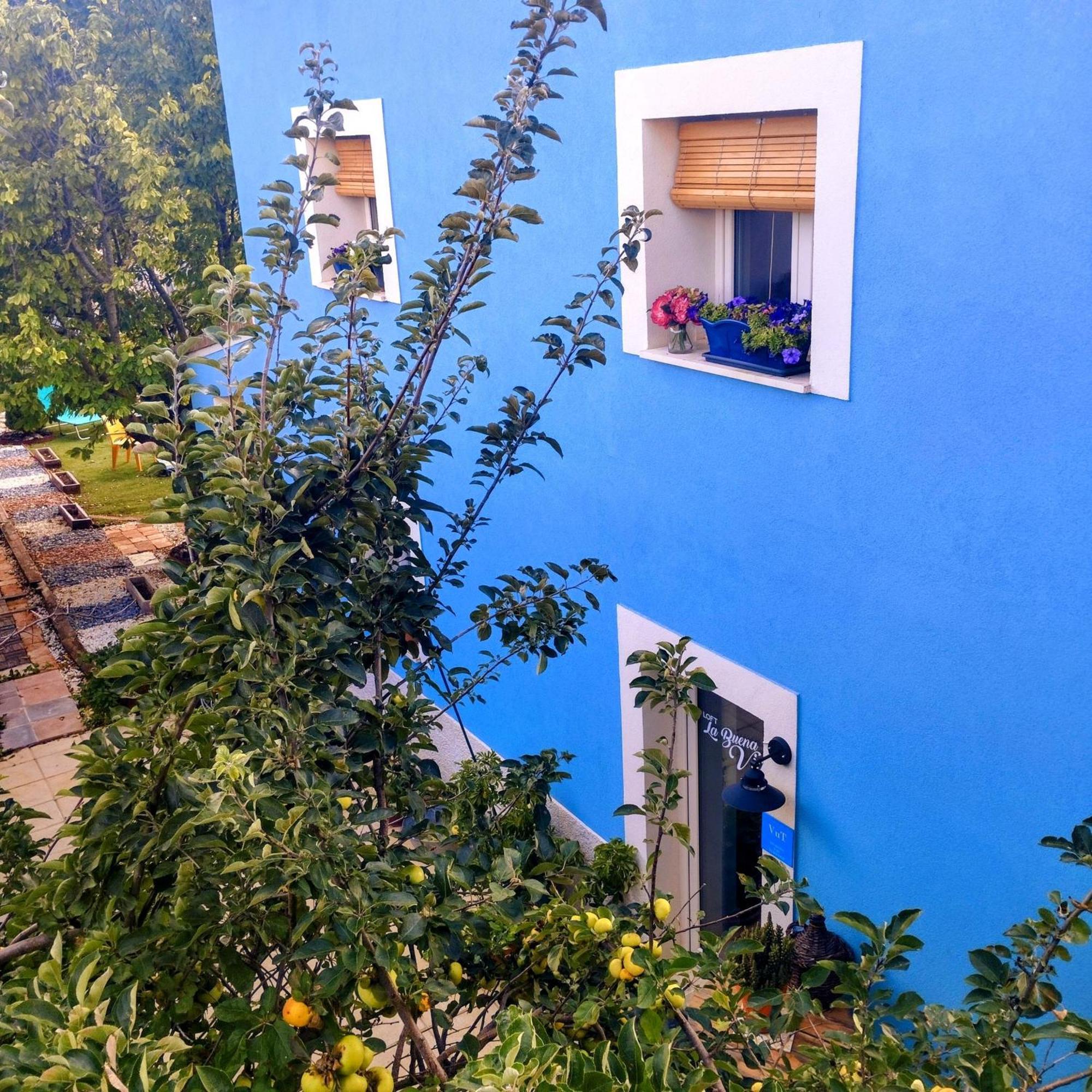 Ferienwohnung Loft La Buena Vida Penaranda de Duero Exterior foto